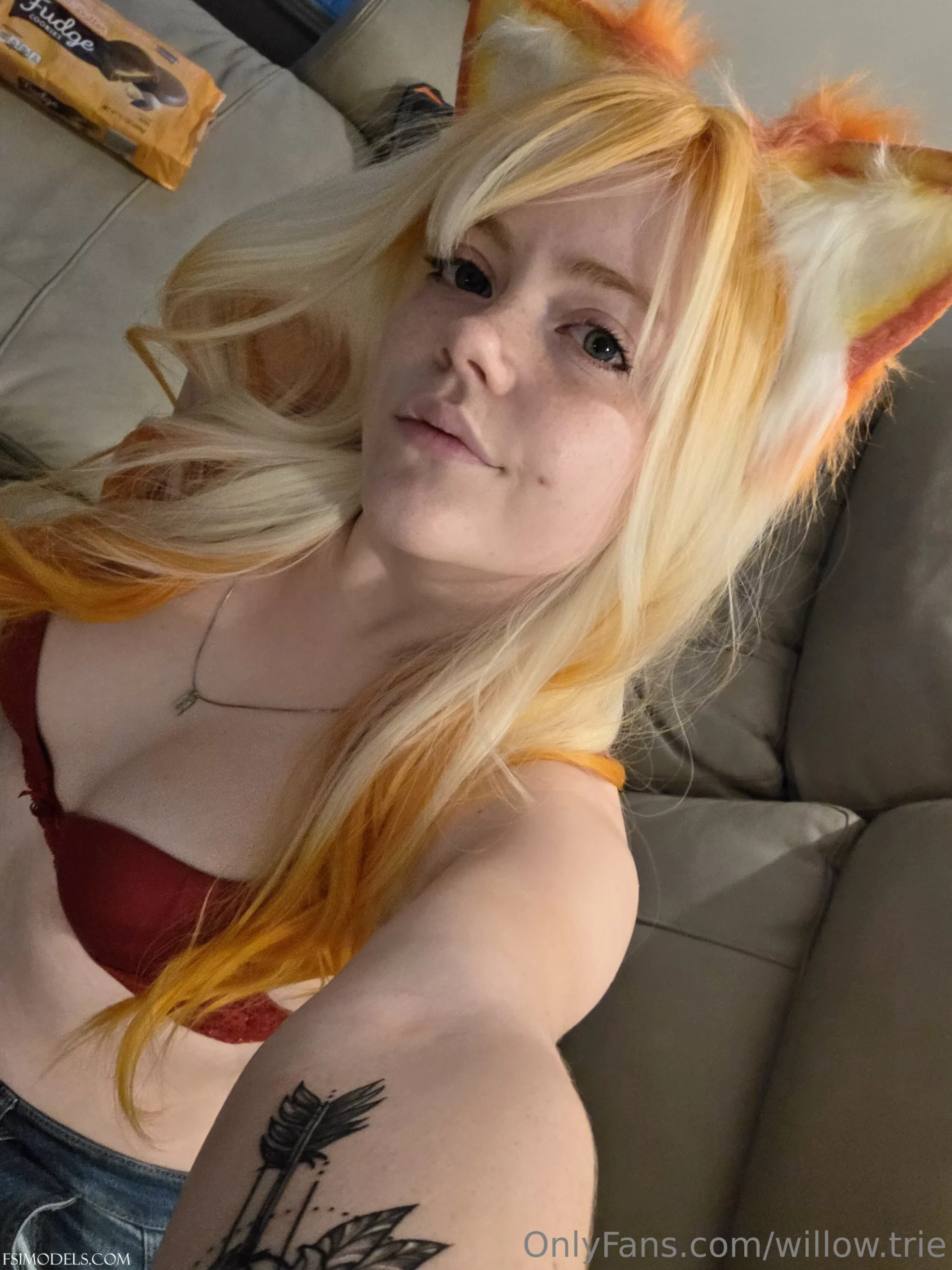 willow trie 21 ppv nude pussy onlyfans photos 013 scaled - FSI Models